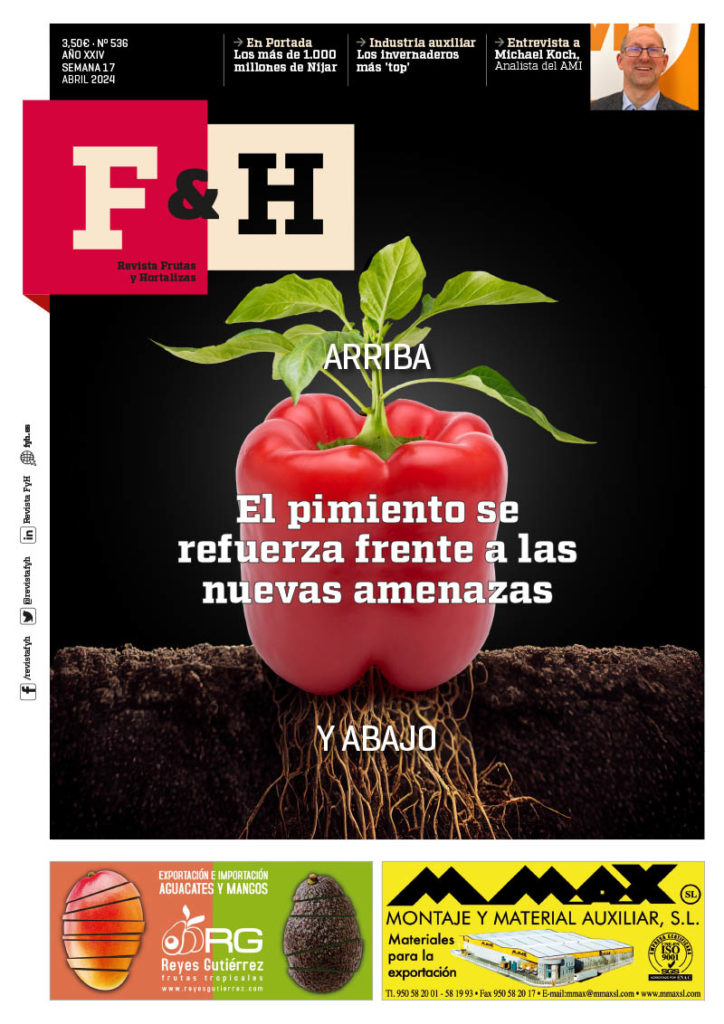 Revista F&H 536 – Abril 2024