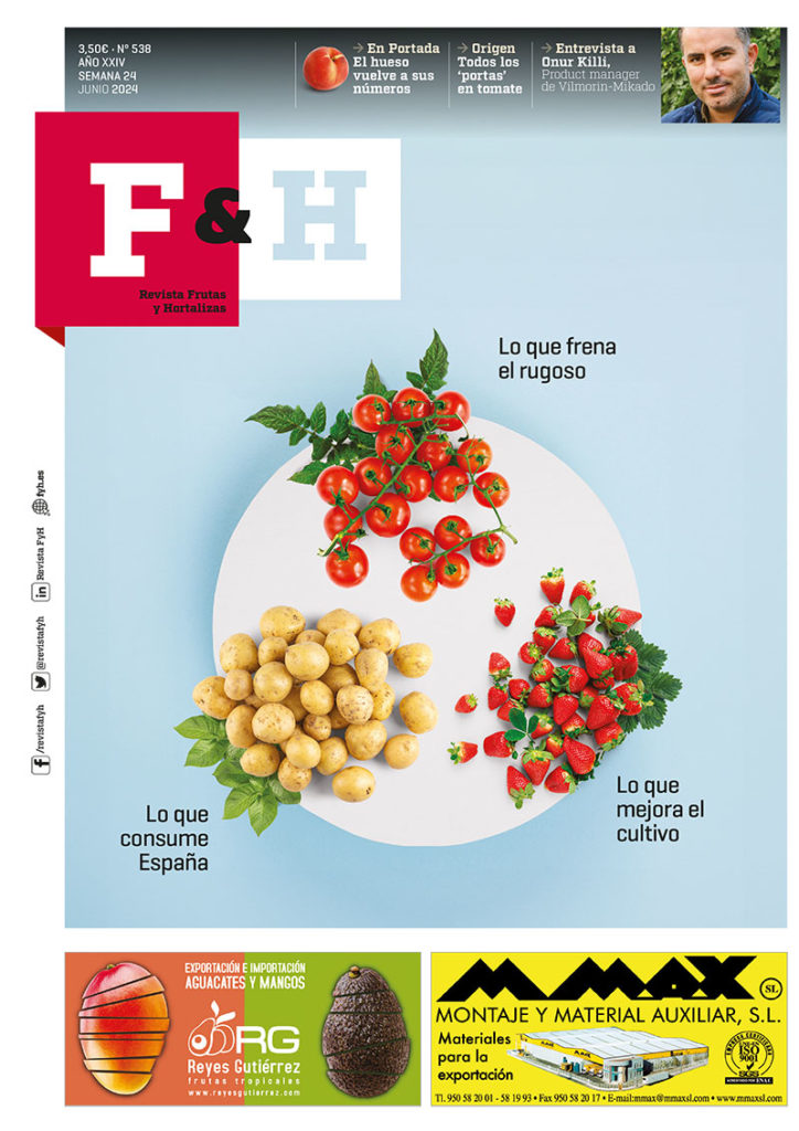Revista F&H 538 – Junio 2024