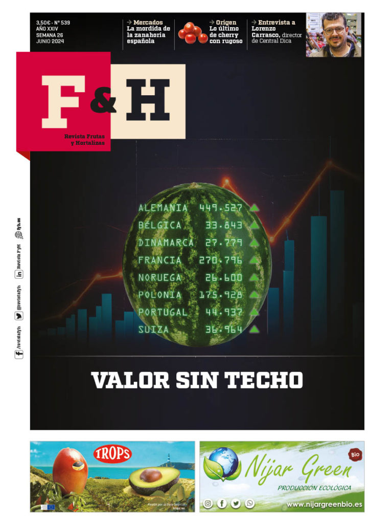 Revista F&H 539 – Junio 2024