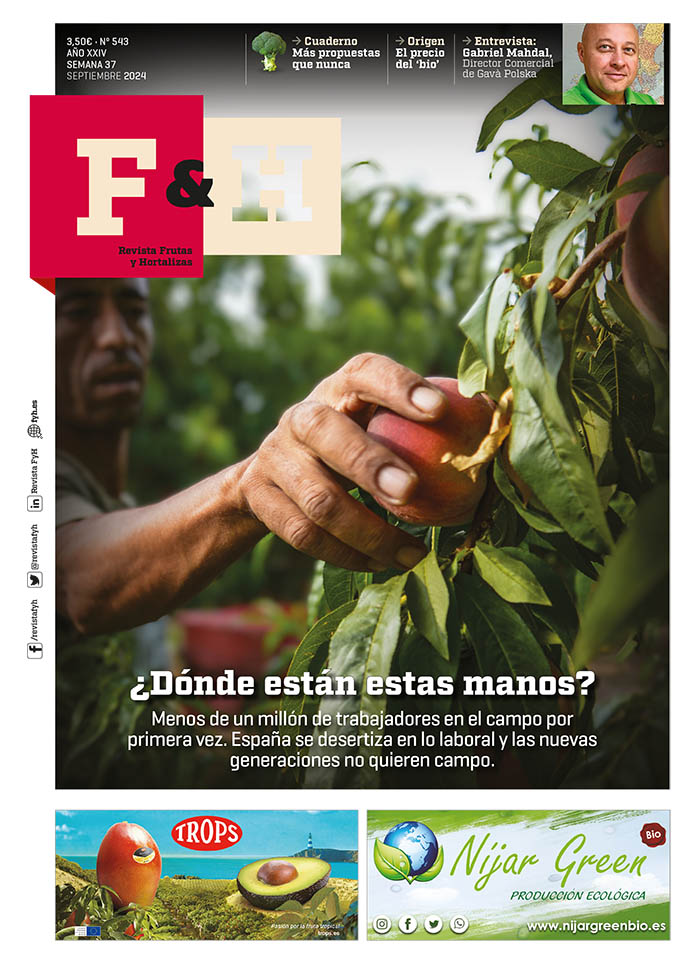 Revista F&H 543 – Septiembre 2024