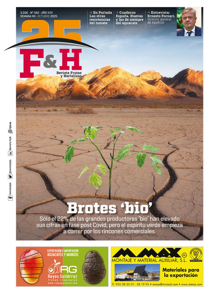 Revista F&H 562 – Octubre 2025