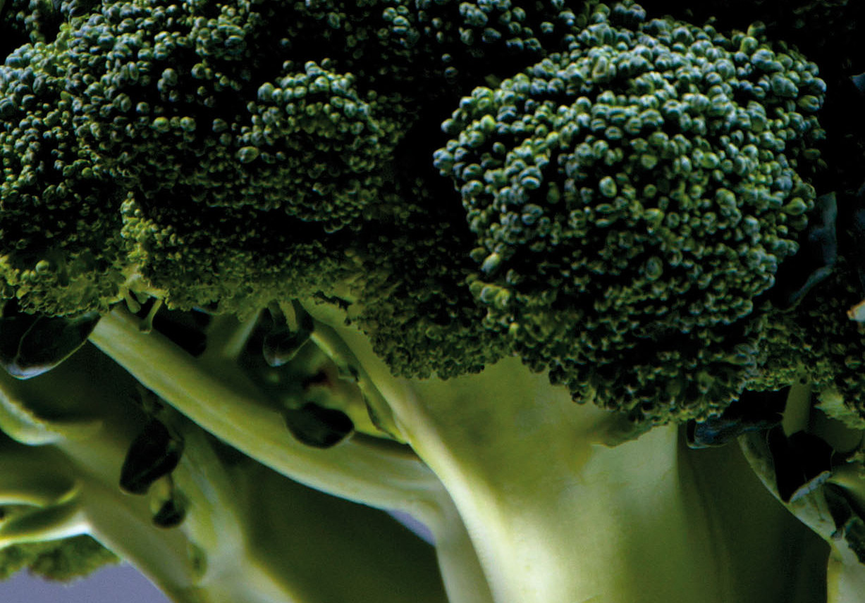 Nuevo brócoli morado producido por la firma Staples Vegetables » FyH