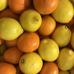 citricos-naranjas-y-limones