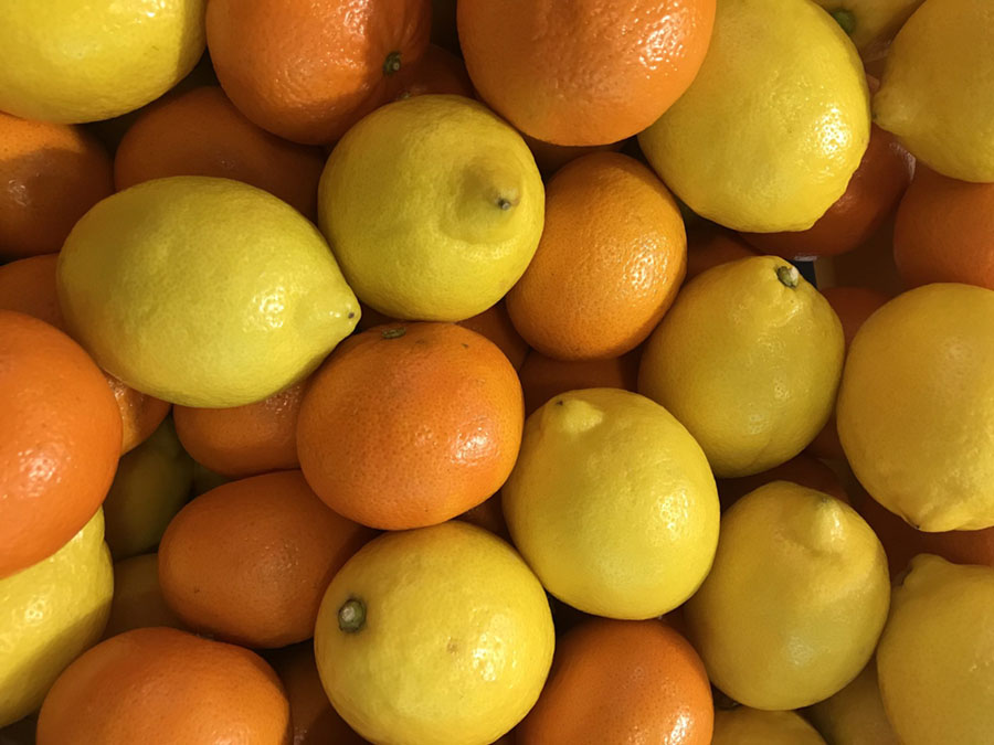 citricos-naranjas-y-limones