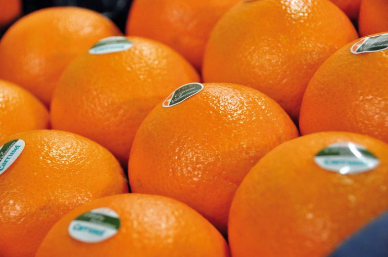 DANA Valencia promos