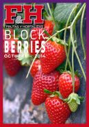 Block berries 2014