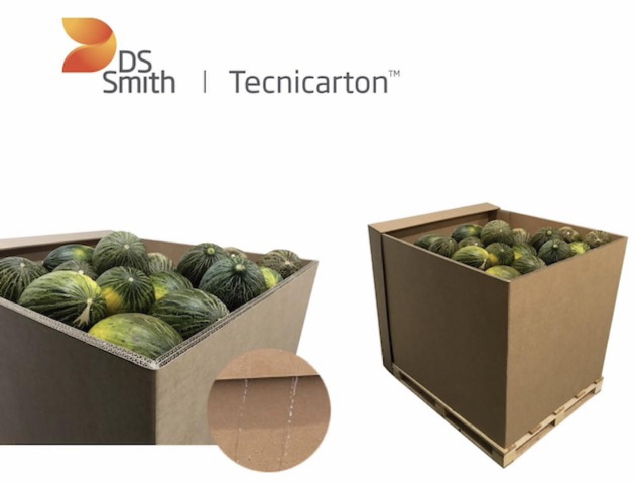 ds-smith-melon