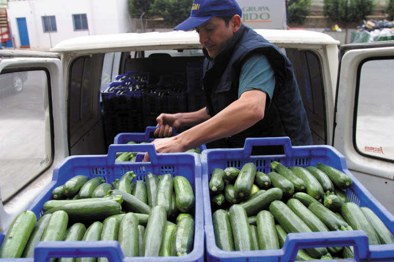 Almería costes de producción