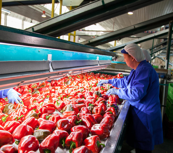 Andalucía cooperativas