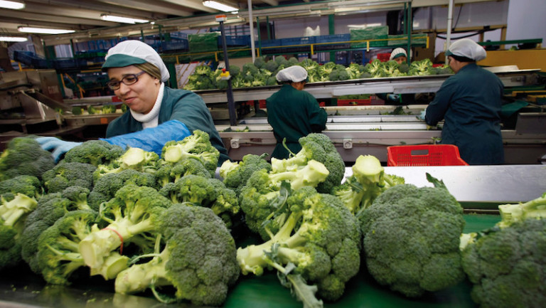 optimismo frutas hortalizas