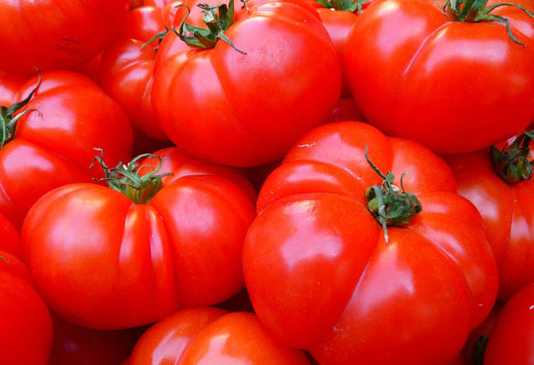 renta agraria Extremadura