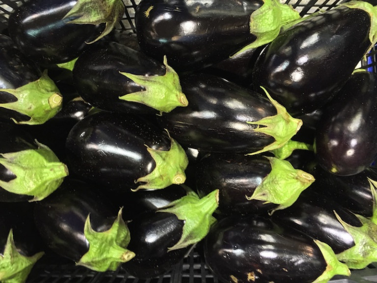 segundas categorías berenjena