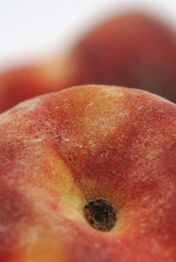 tornado Emilia Romagna melocotones