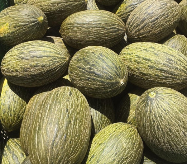 precios melón sandía