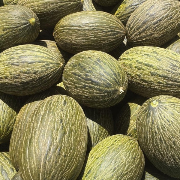 precios melón sandía