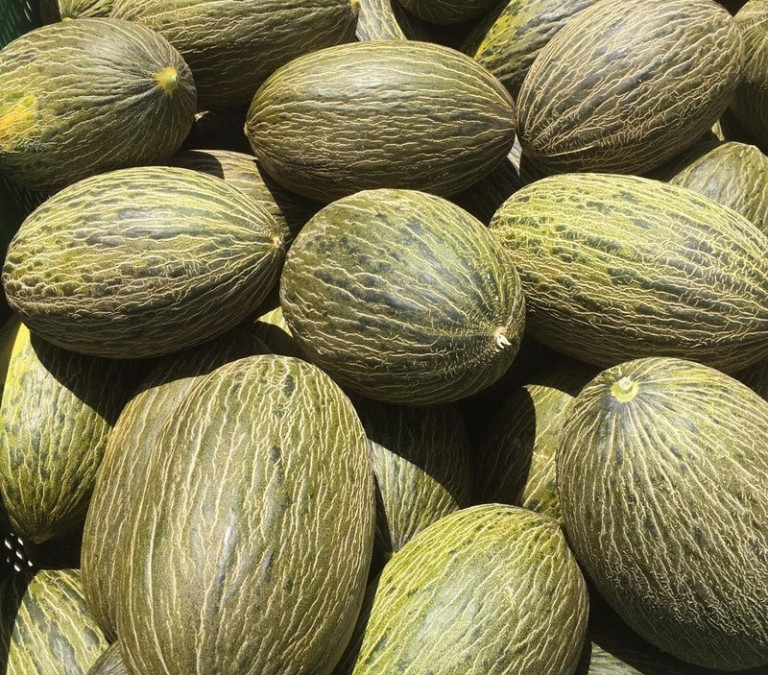 precios melón sandía