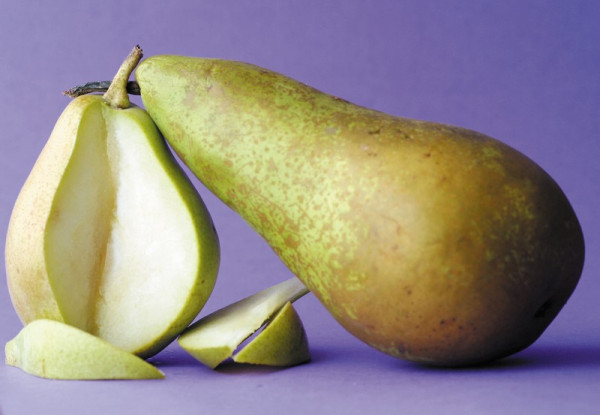 pera Conferencia Bélgica