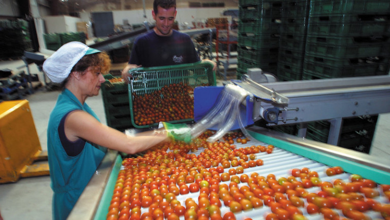 BioProcam ecológico