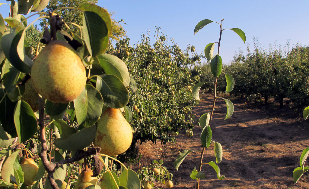 intercambios España Portugal