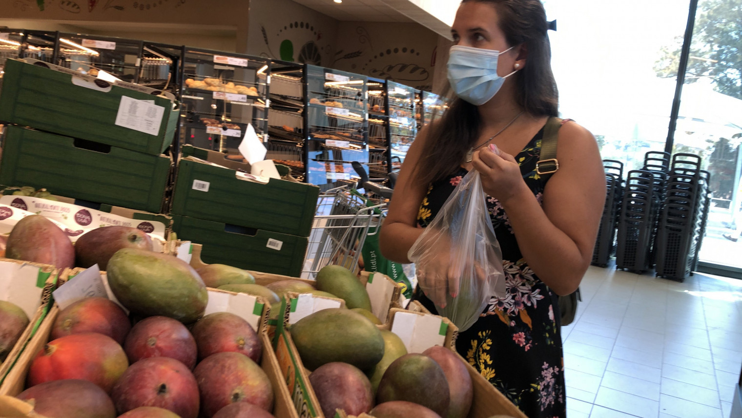 Portugal ya disfruta de los mangos españoles » FyH Revista