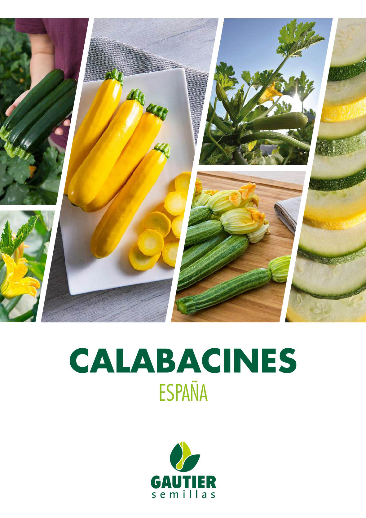 Gautier - Catalogo Calabacin 2020