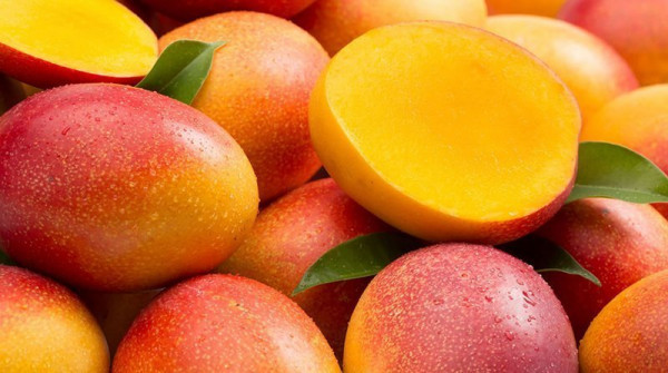 mango Italia