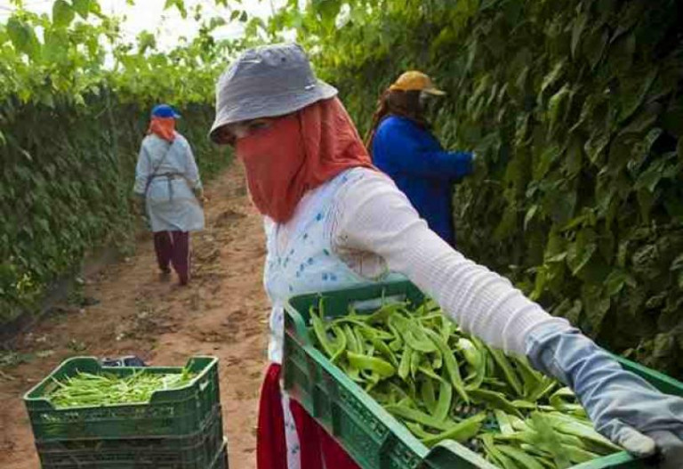 desaladoras Marruecos