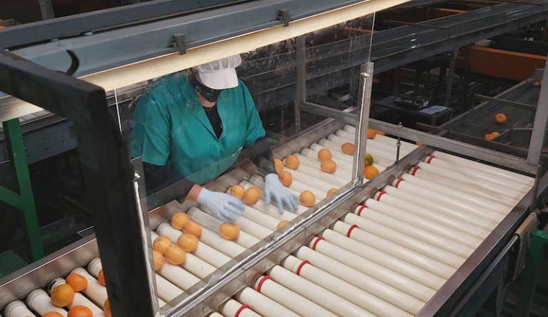 exportación UE Canadá