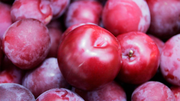 fruta de hueso Chile