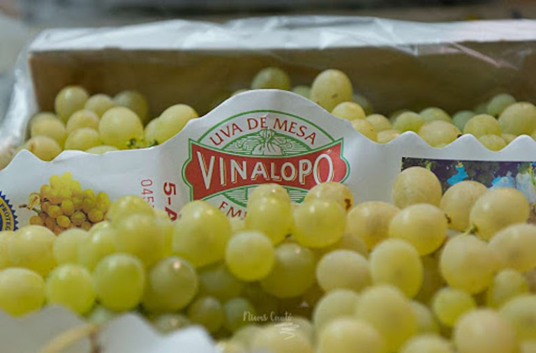 cosecha uva Vinalopó