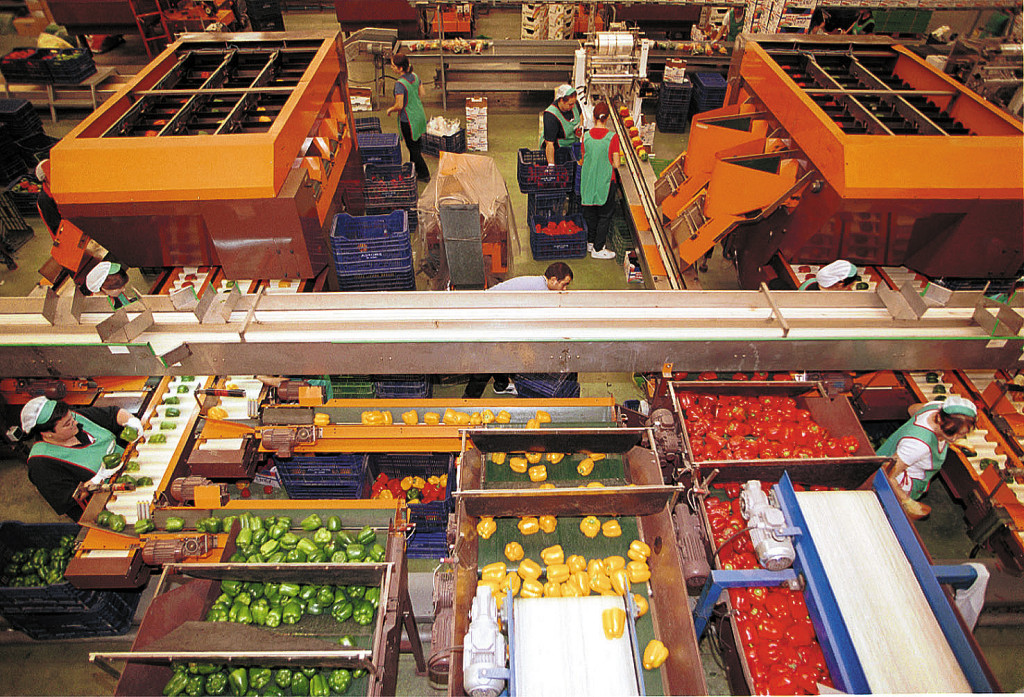 Indonesia agricultura Almería