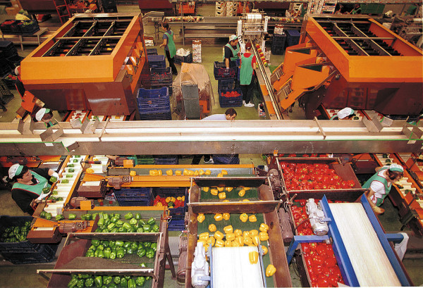 Indonesia agricultura Almería