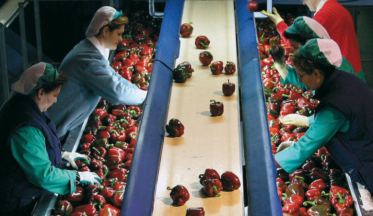 contratos alimentarios