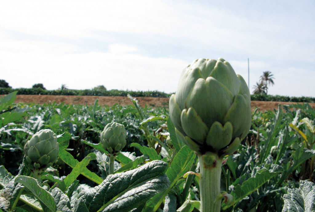 productividad digitalización