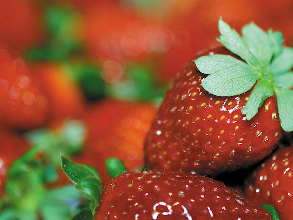 fresas Francia