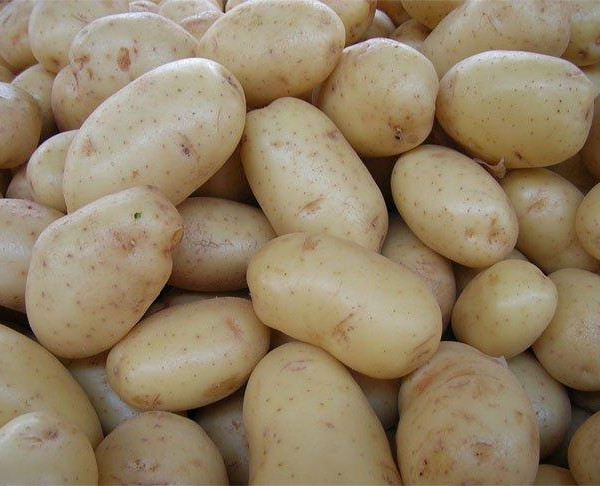 patata Andalucía