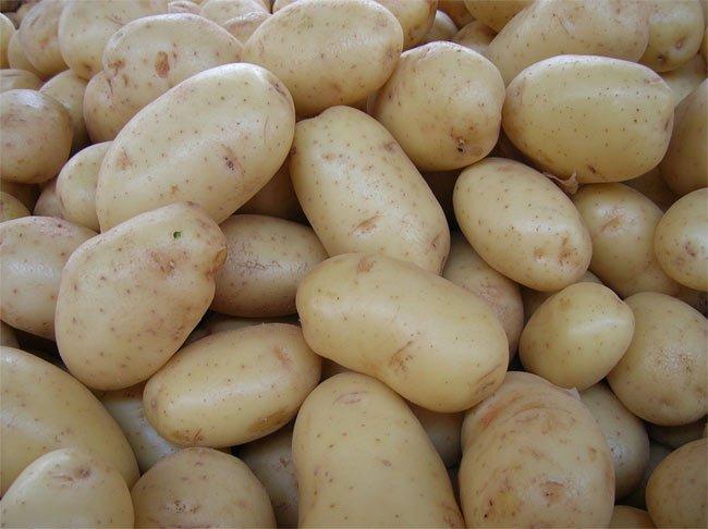 patata Andalucía