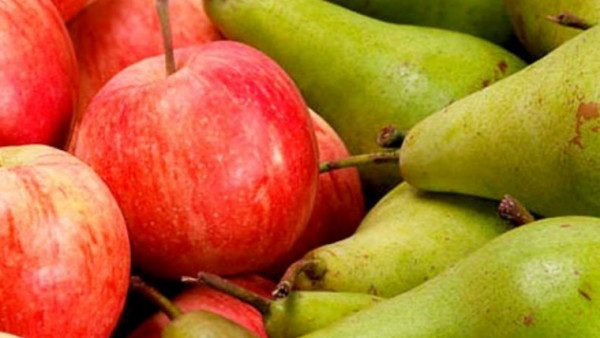 Países Bajos pera manzana