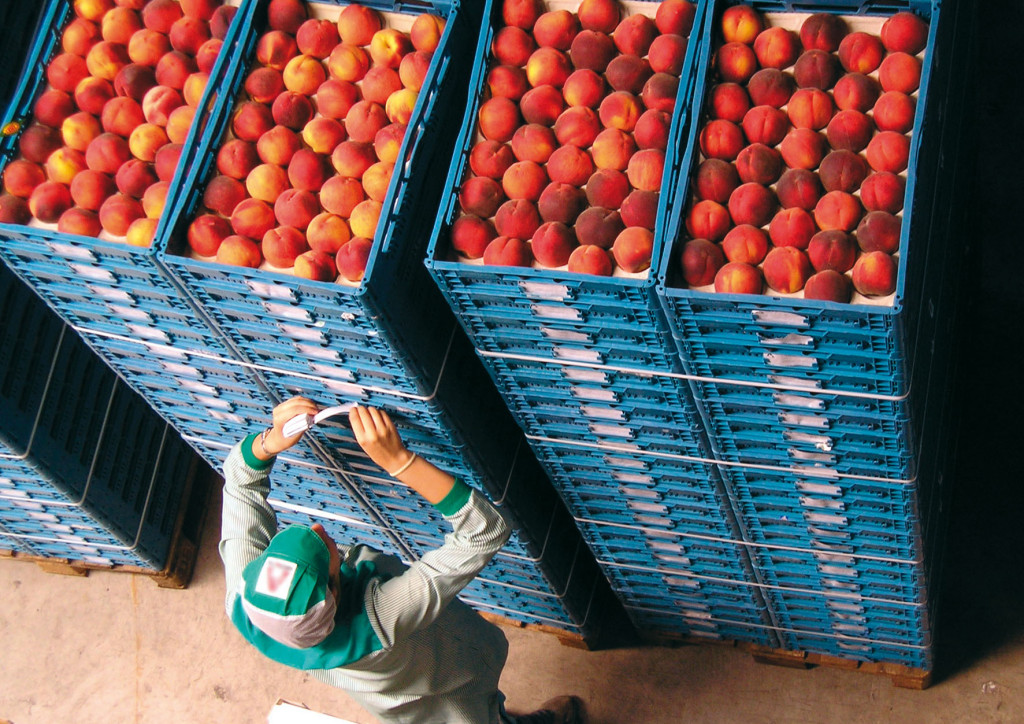 fruta de hueso Alemania