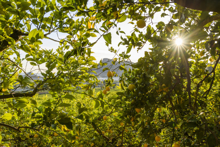 agricultura cambio climático