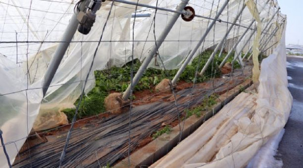 granizada El Ejido Agroseguro