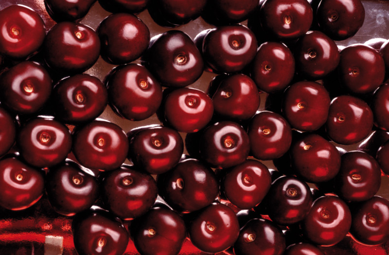 Cereza Jerte