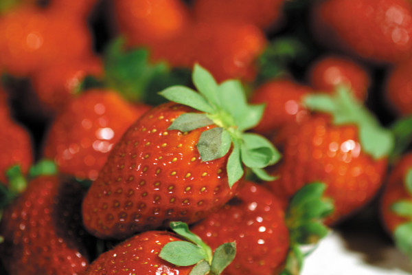 Huelva berries España UE exportación