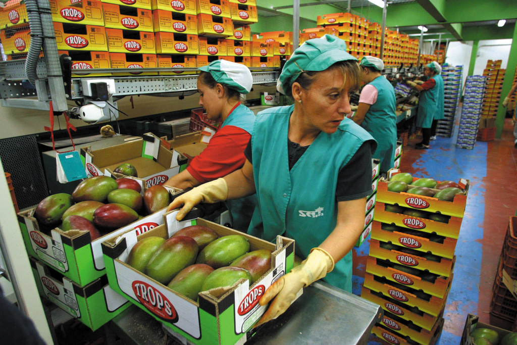 MAPA Trops entidades asociativas prioritarias mango aguacate