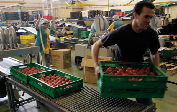 empleados recolección hueso cataluña