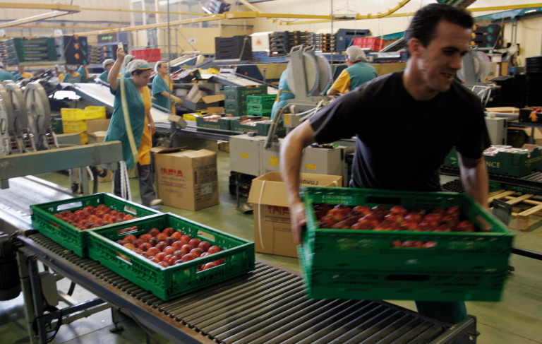 empleados recolección hueso cataluña