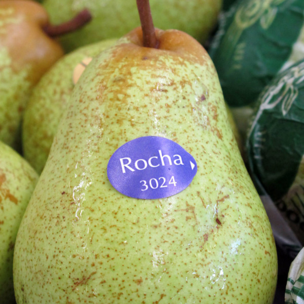 Marruecos espera de Portugal un nuevo cliente comercial