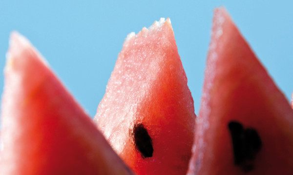 sandía melón exportaciones