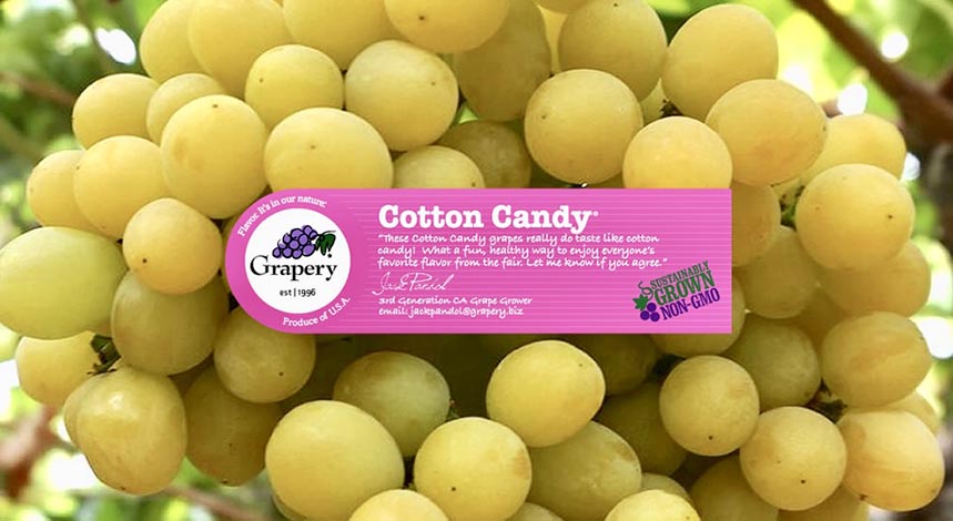 Cultivar ofrece la Cotton Candy a su clientela » FyH Revista