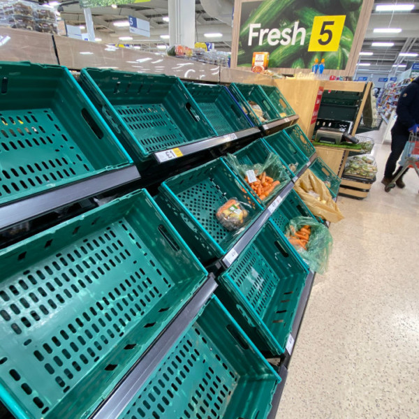 ayudas Brexit frutas hortalizas exportaciones